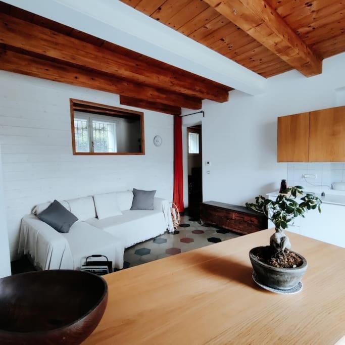 Casasassi Daire Torino Dış mekan fotoğraf