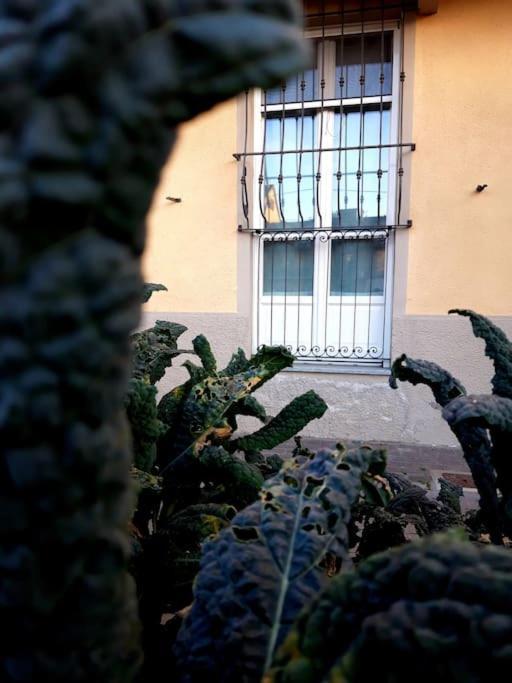 Casasassi Daire Torino Dış mekan fotoğraf