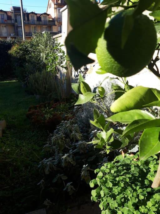 Casasassi Daire Torino Dış mekan fotoğraf